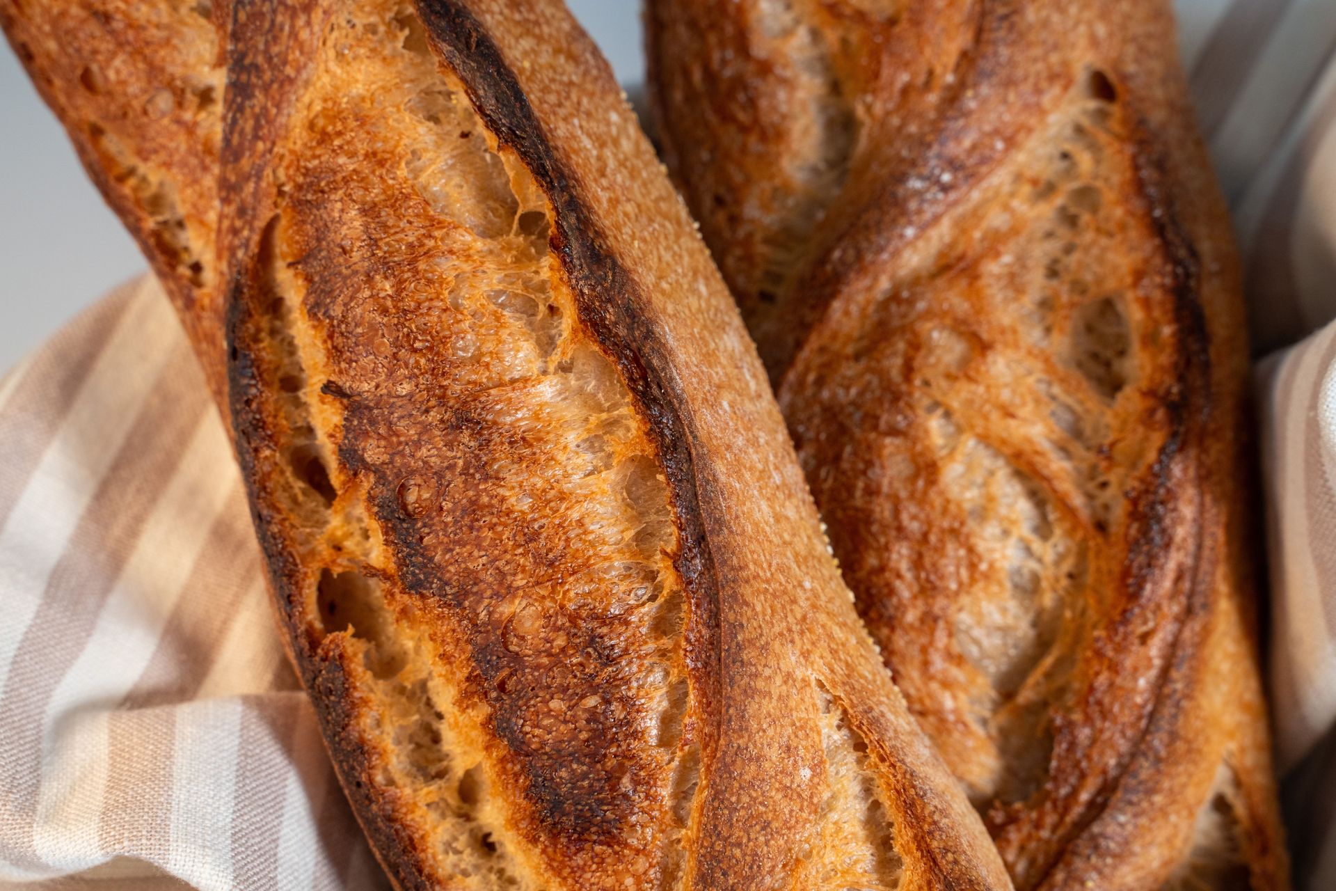 Close-up of freshly baked artisan baguettes from a Berlin bakery, showcasing their golden crust.